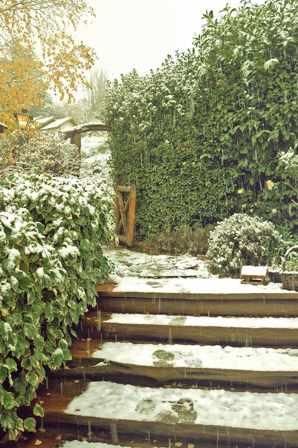 Hosteria Baerenhaus San Martín de los Andes Exterior foto